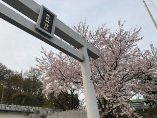 神社にも🌸桜が咲いております

#桜
#公園
#無徳神神社
#神社
#鳥居
#四国
#高屋神社
#神様
#大自然
#瀬戸内海
#多度津町