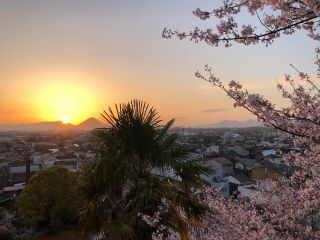 Instagram 投稿 18307312660145868