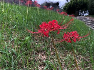 Instagram 投稿 18022012130226705